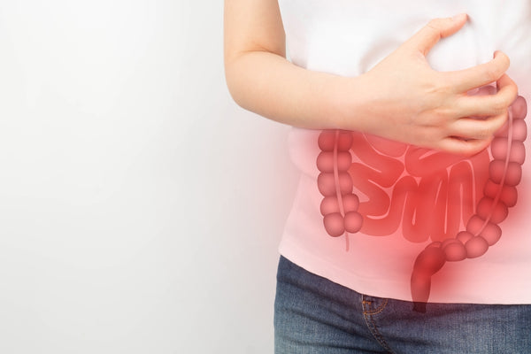 What Causes Leaky Gut? The 19 Hidden And Little Known Reasons (New 2022 Update)
