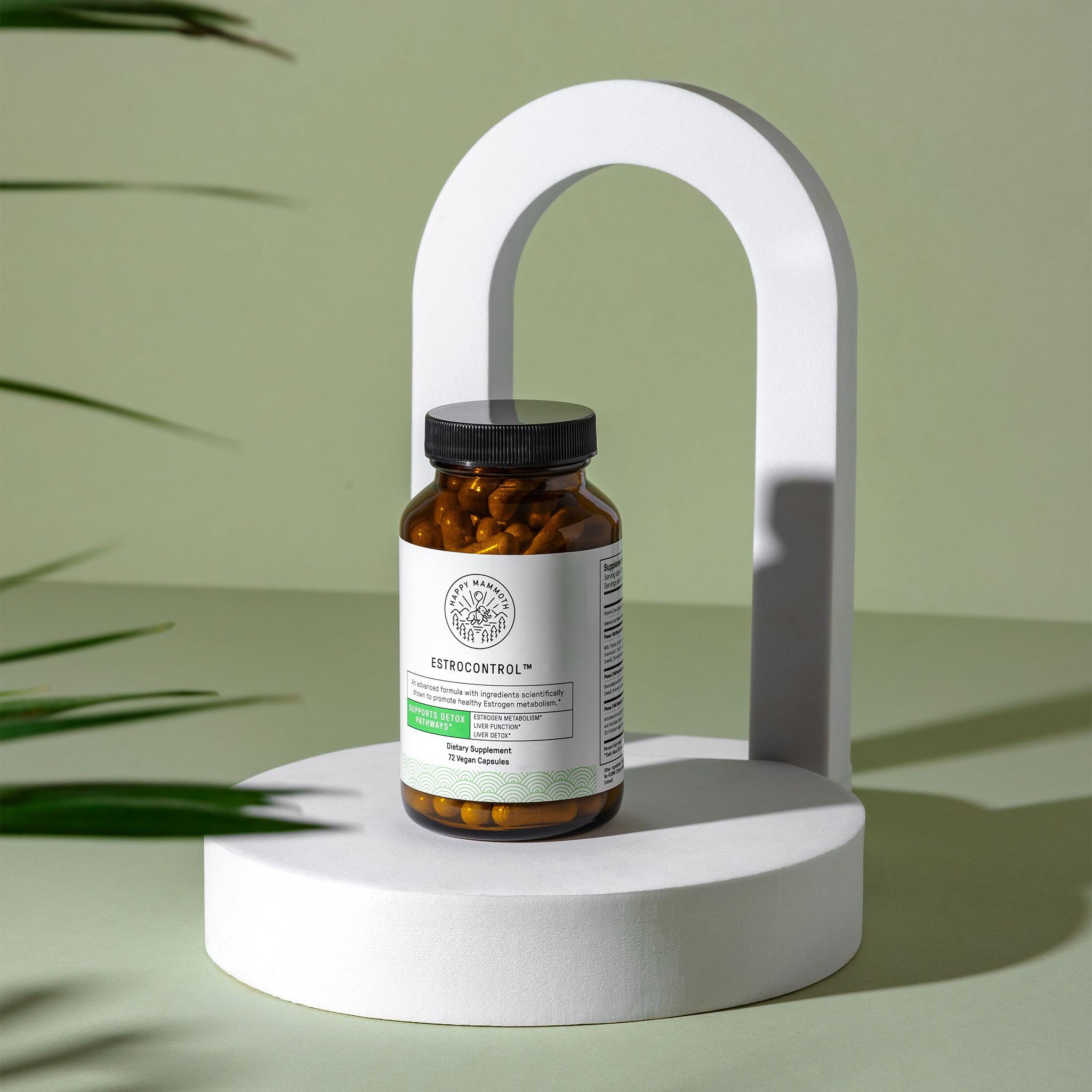 Detoxification & Body Rejuvenation