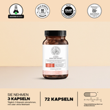 Ultimate Weight Loss Protocol 4.0