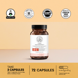 Ultimate Weight Loss Protocol 4.0