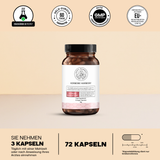 Ultimate Weight Loss Protocol 4.0